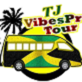 TJ Vibes Pree Tours logo
